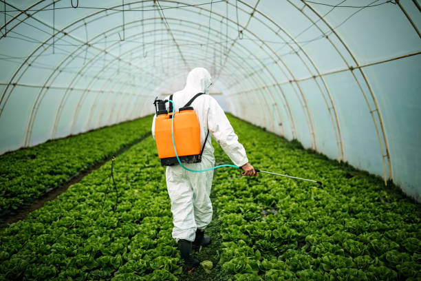Best Emergency Pest Control  in Alta Sierra, CA