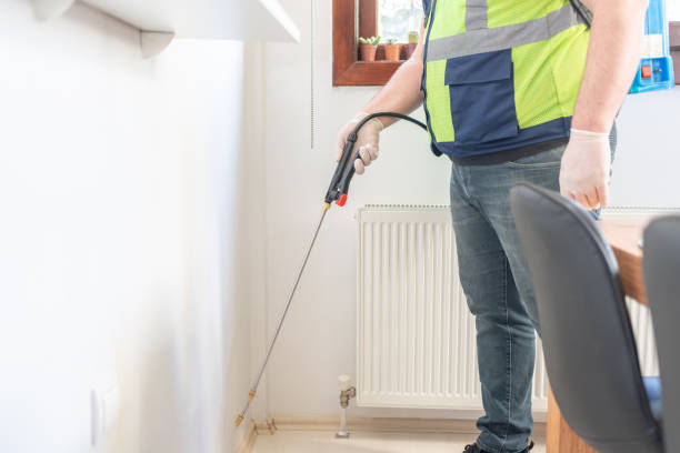 Best Termite Control Services  in Alta Sierra, CA
